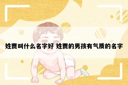 姓贾叫什么名字好 姓贾的男孩有气质的名字