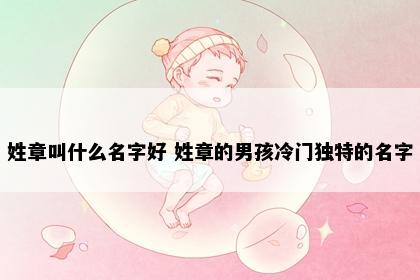 姓章叫什么名字好 姓章的男孩冷门独特的名字