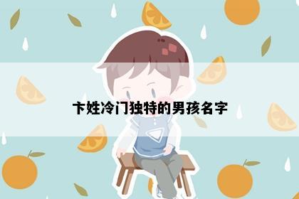 卞姓冷门独特的男孩名字