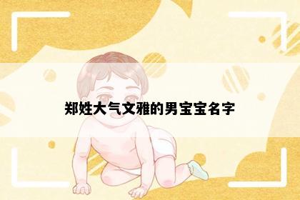 郑姓大气文雅的男宝宝名字