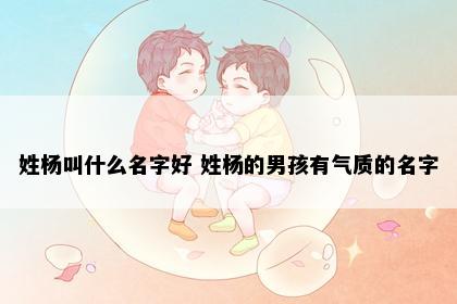 姓杨叫什么名字好 姓杨的男孩有气质的名字