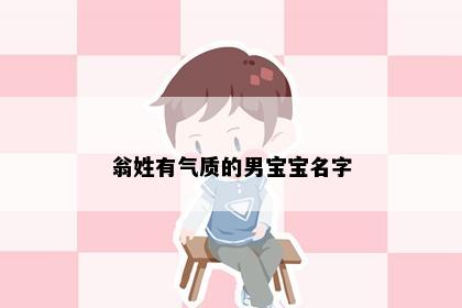 翁姓有气质的男宝宝名字