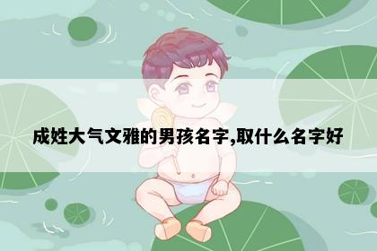 成姓大气文雅的男孩名字,取什么名字好