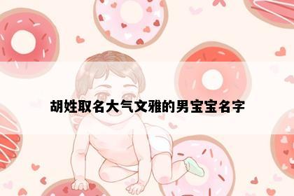 胡姓取名大气文雅的男宝宝名字