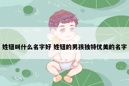 姓钮叫什么名字好 姓钮的男孩独特优美的名字