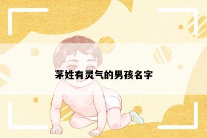 茅姓有灵气的男孩名字
