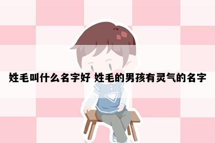 姓毛叫什么名字好 姓毛的男孩有灵气的名字