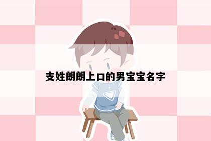 支姓朗朗上口的男宝宝名字