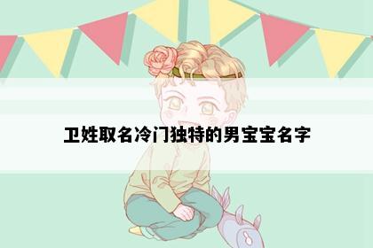 卫姓取名冷门独特的男宝宝名字