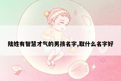陆姓有智慧才气的男孩名字,取什么名字好