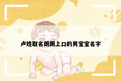 卢姓取名朗朗上口的男宝宝名字