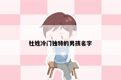 杜姓冷门独特的男孩名字
