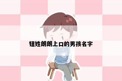 钮姓朗朗上口的男孩名字