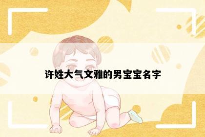 许姓大气文雅的男宝宝名字