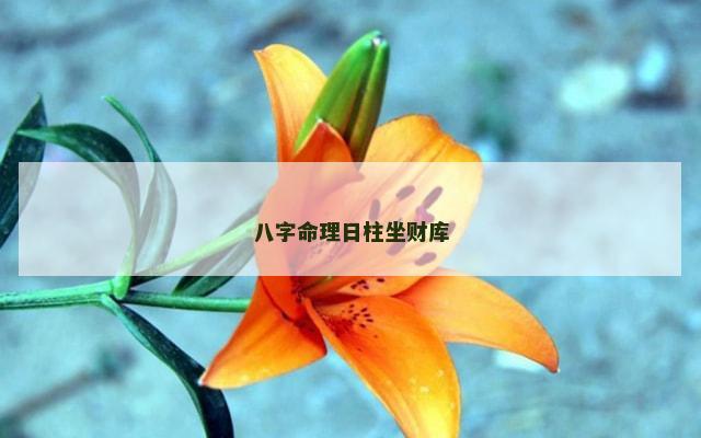 八字命理日柱坐财库