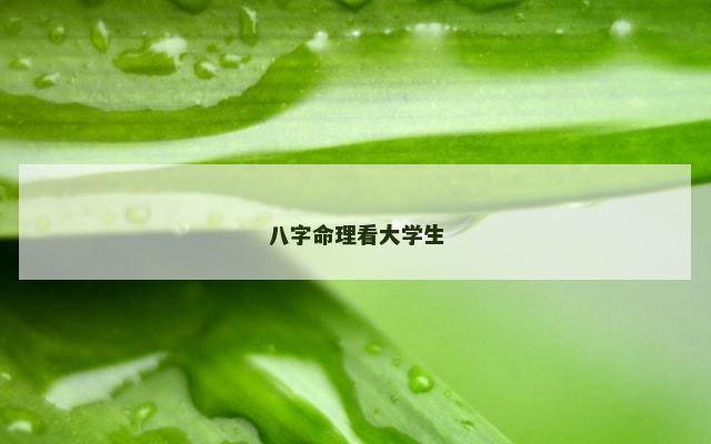 八字命理看大学生