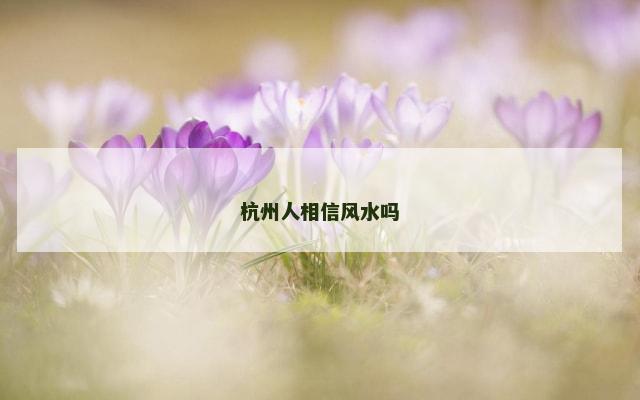杭州人相信风水吗