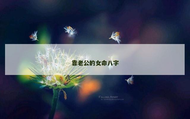靠老公的女命八字