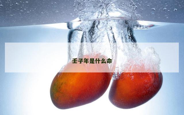 壬子年是什么命