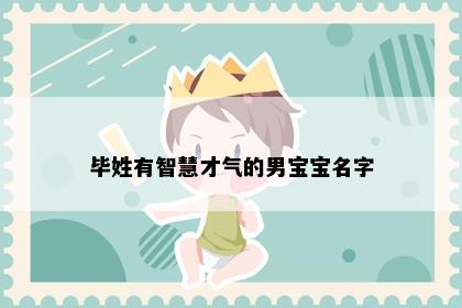 毕姓有智慧才气的男宝宝名字