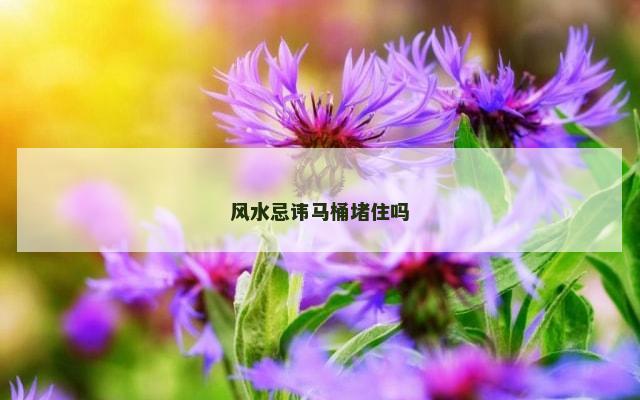 风水忌讳马桶堵住吗