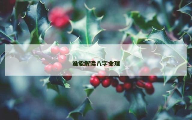 谁能解读八字命理