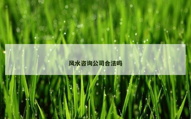 风水咨询公司合法吗