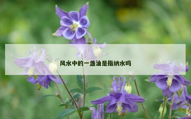 风水中的一盏油是指纳水吗