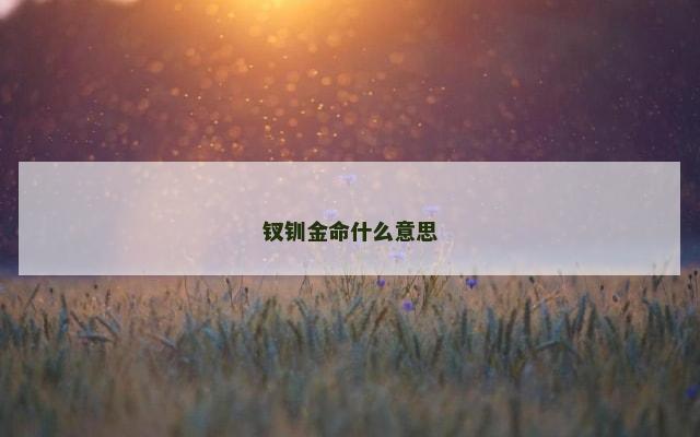 钗钏金命什么意思