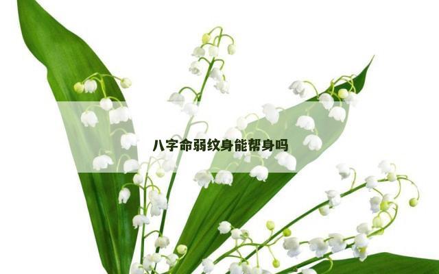 八字命弱纹身能帮身吗