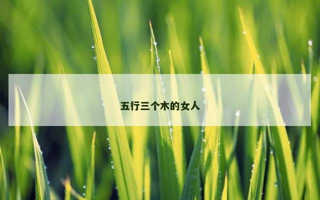 五行三个木的女人