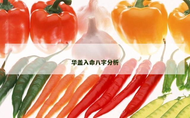 华盖入命八字分析
