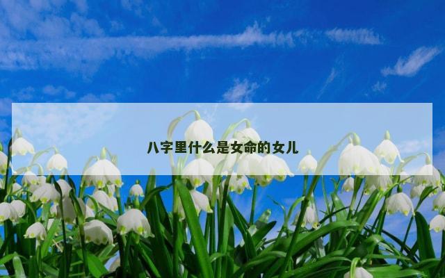 八字里什么是女命的女儿