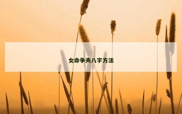 女命争夫八字方法