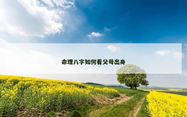 命理八字如何看父母出身