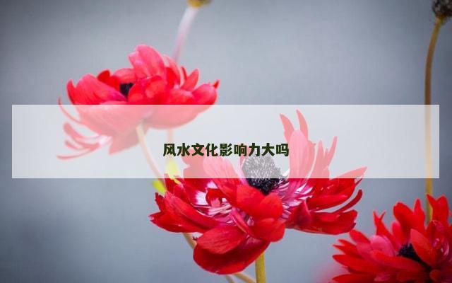 风水文化影响力大吗