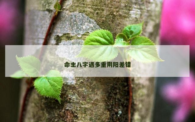 命主八字遇多重阴阳差错