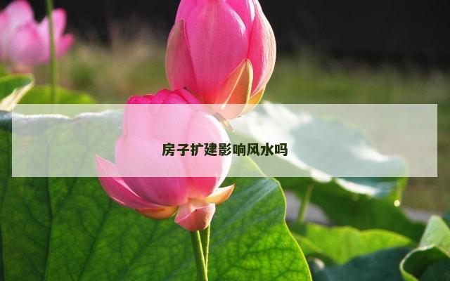 房子扩建影响风水吗