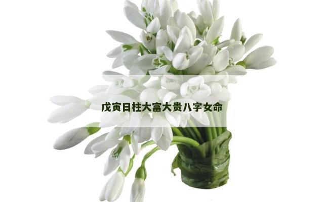 戊寅日柱大富大贵八字女命
