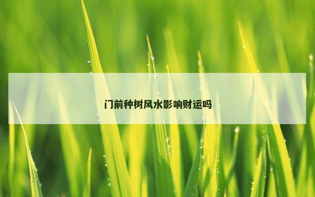 门前种树风水影响财运吗