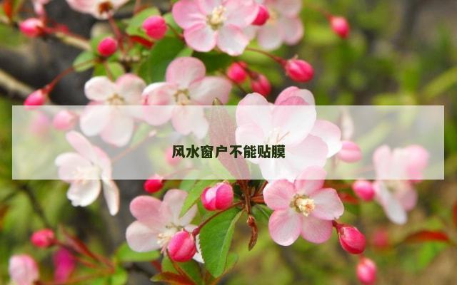 风水窗户不能贴膜