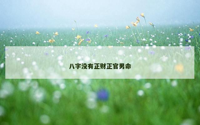 八字没有正财正官男命