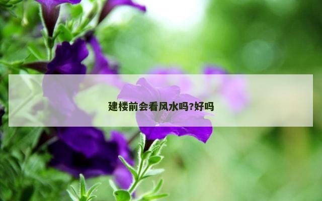 建楼前会看风水吗?好吗