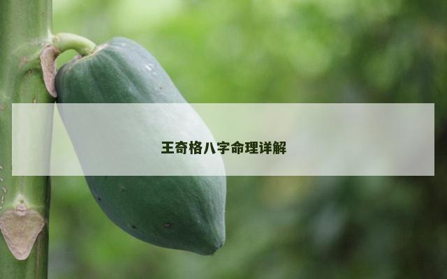 王奇格八字命理详解