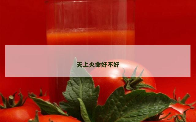 天上火命好不好