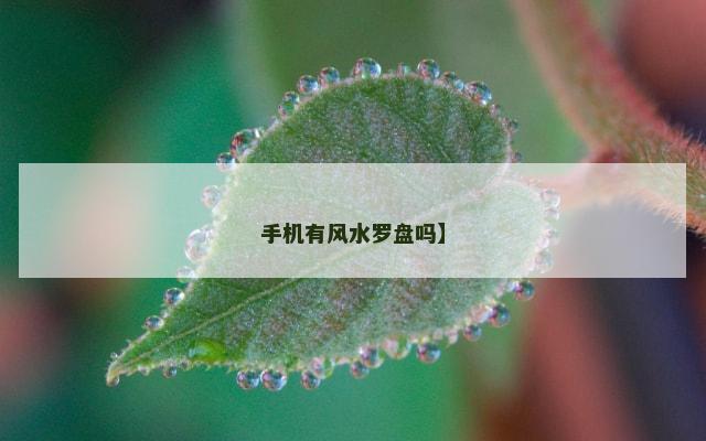 手机有风水罗盘吗】