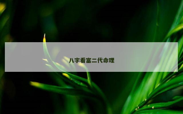 八字看富二代命理