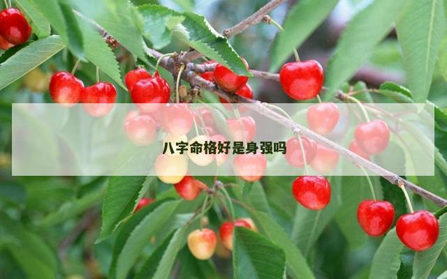 八字命格好是身强吗