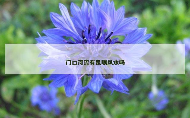 门口河流有泉眼风水吗