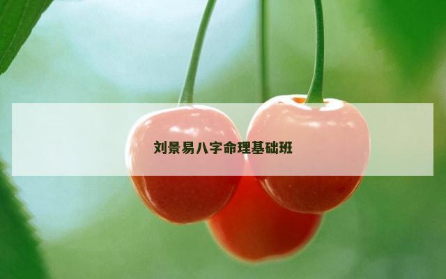 刘景易八字命理基础班